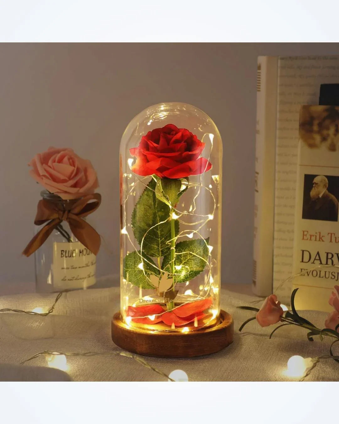 Red rose in a glass dome with fairy lights on wooden base, romantic home decor