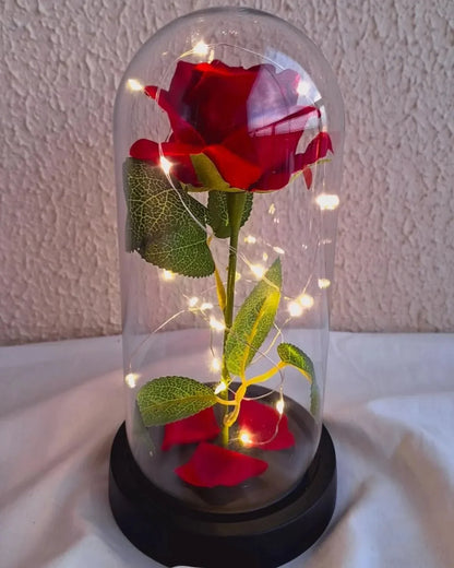 Red artificial rose with LED fairy lights in a glass dome display on a black base